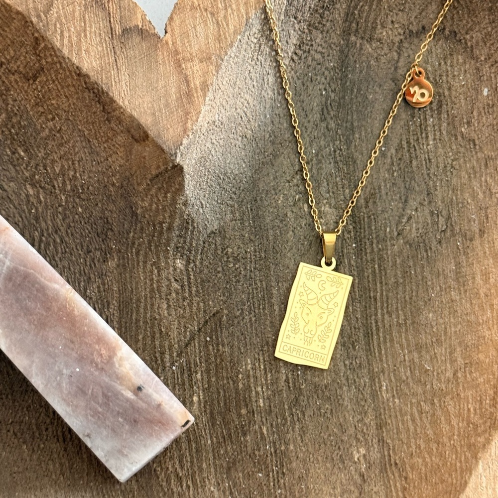 Zodiac Necklace | Capricorn ♑️
